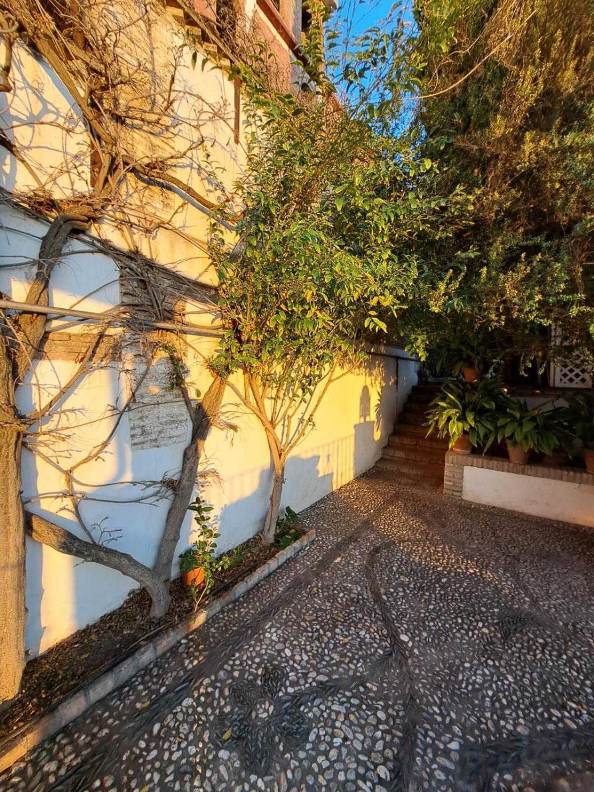 Carmen De Belen Appartement Granada Buitenkant foto